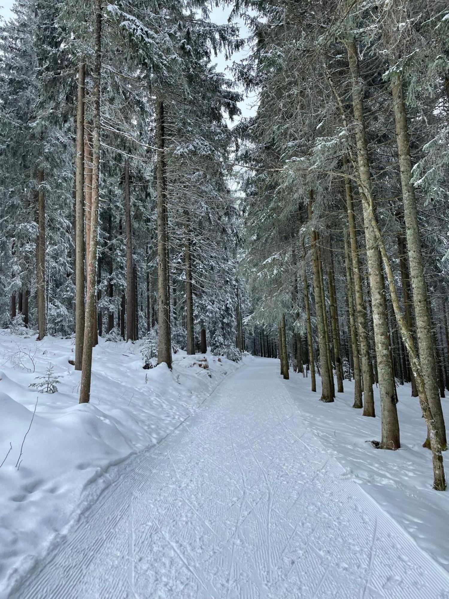 2-Zimmer Ferienwohnung "Am Waldrand" Schoenwald im Schwarzwald Exterior photo